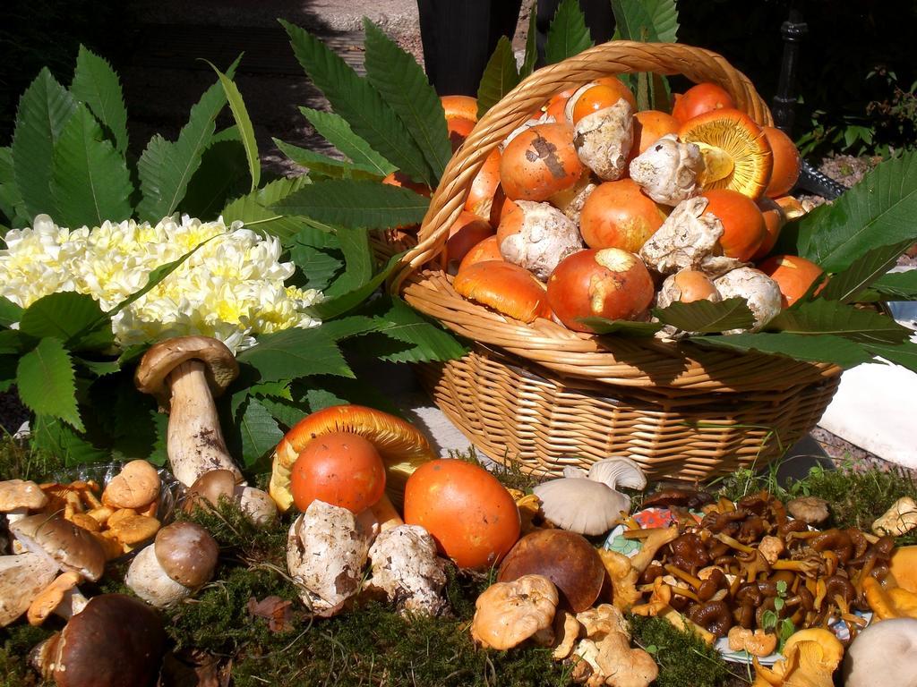 Auberge De L'Atre Quarré-les-Tombes Zewnętrze zdjęcie